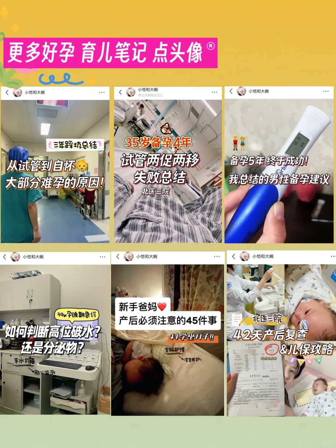 济南寻卵记：我的助孕之旅与选择指南