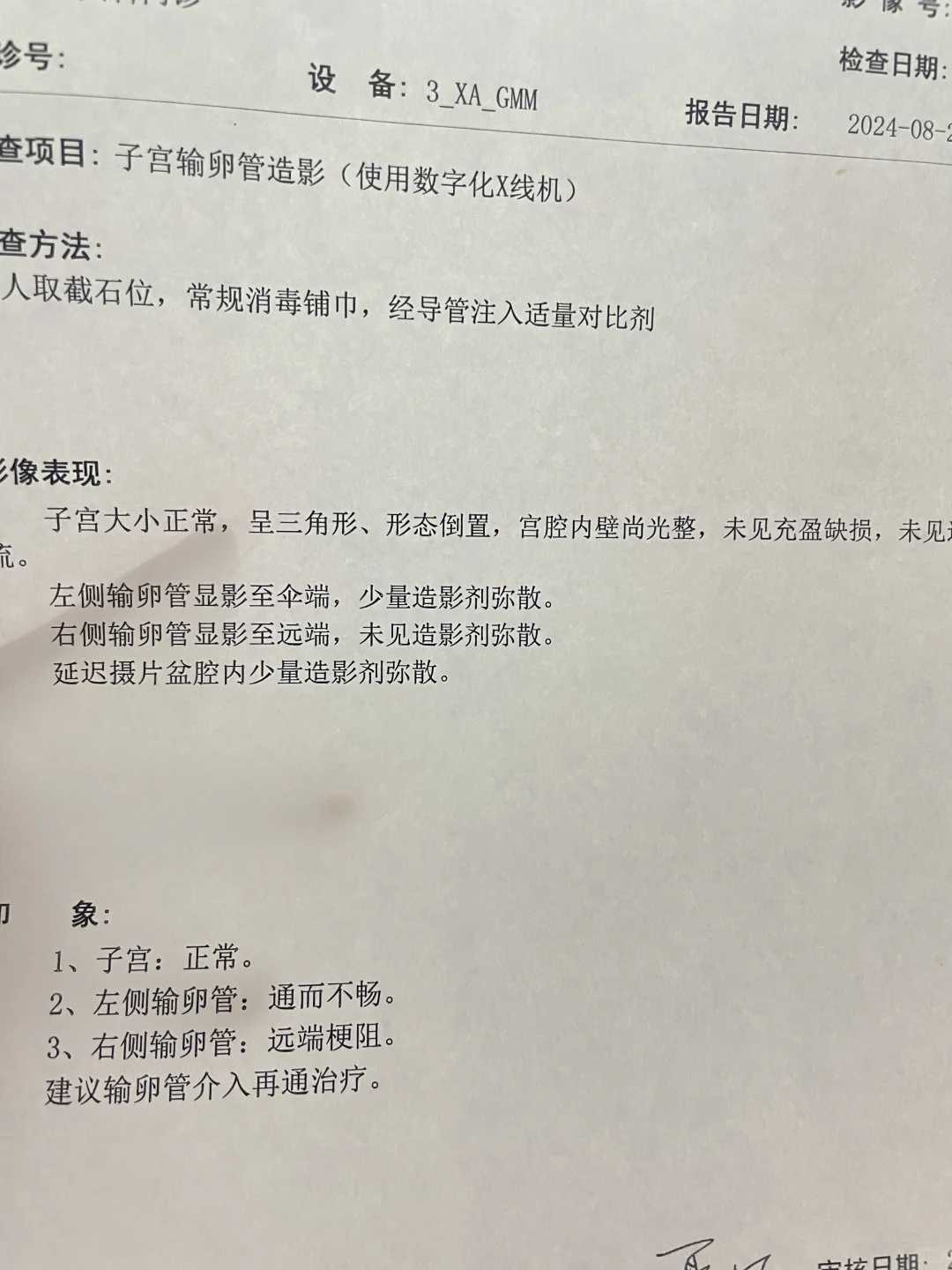 十月供卵助孕机构深度解析：助孕之路的智慧伙伴