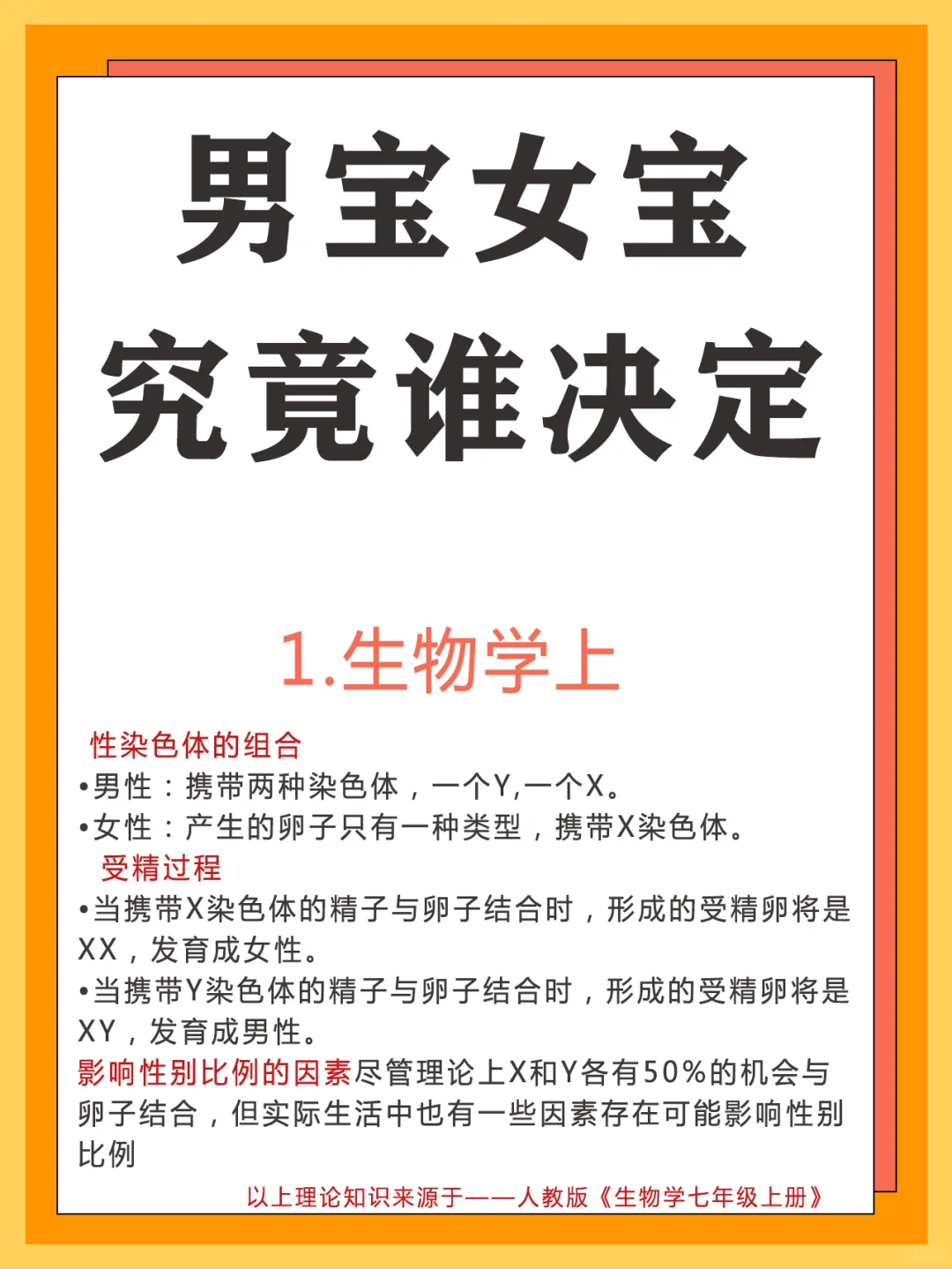 沈阳的供卵之旅：当生育梦想遇上现实选择