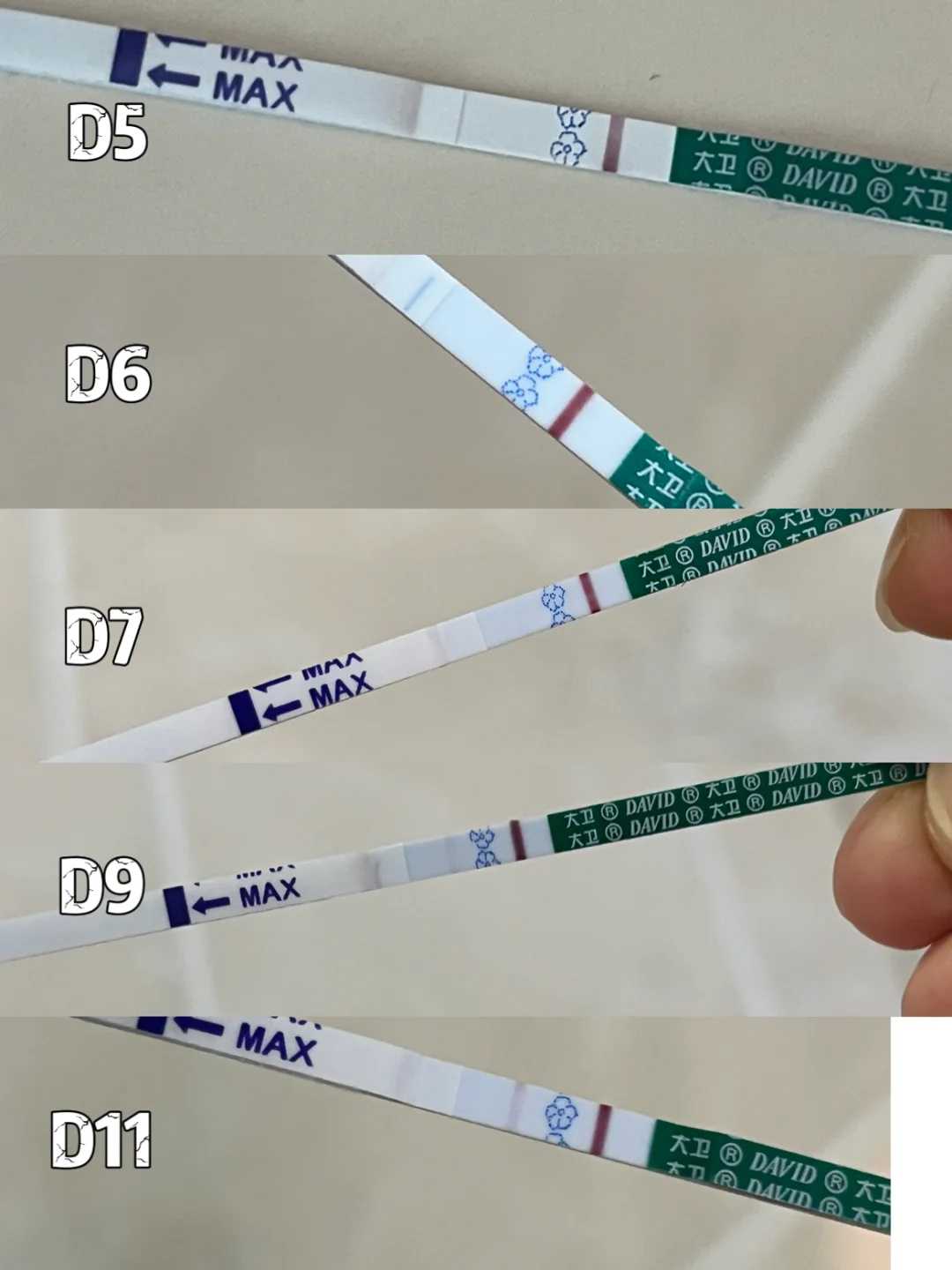 5大秘诀选出优质供卵助孕机构，成功率提升80%
